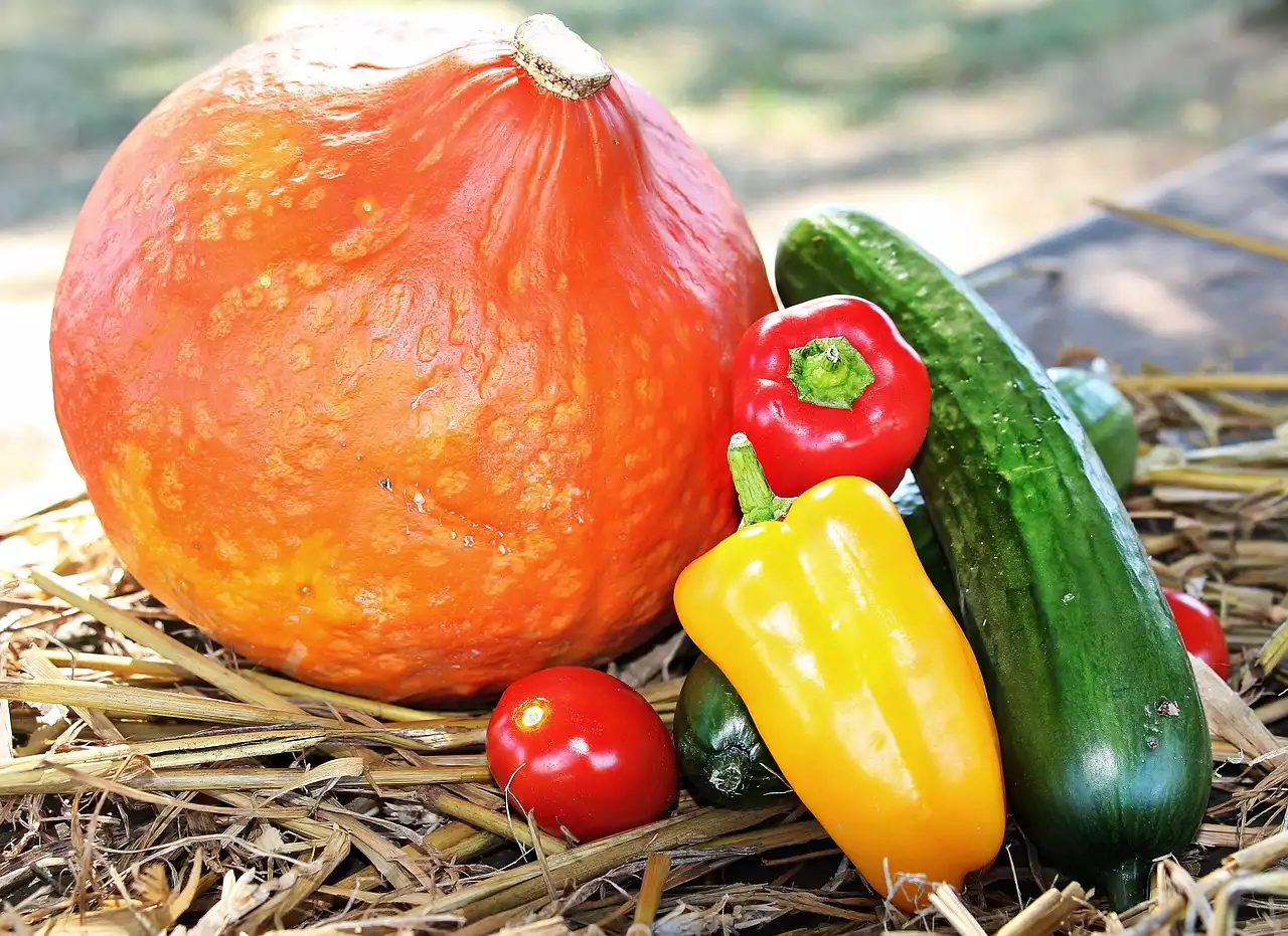 Cómo aprovechar al máximo los productos de temporada: una guía para las verduras de otoño
